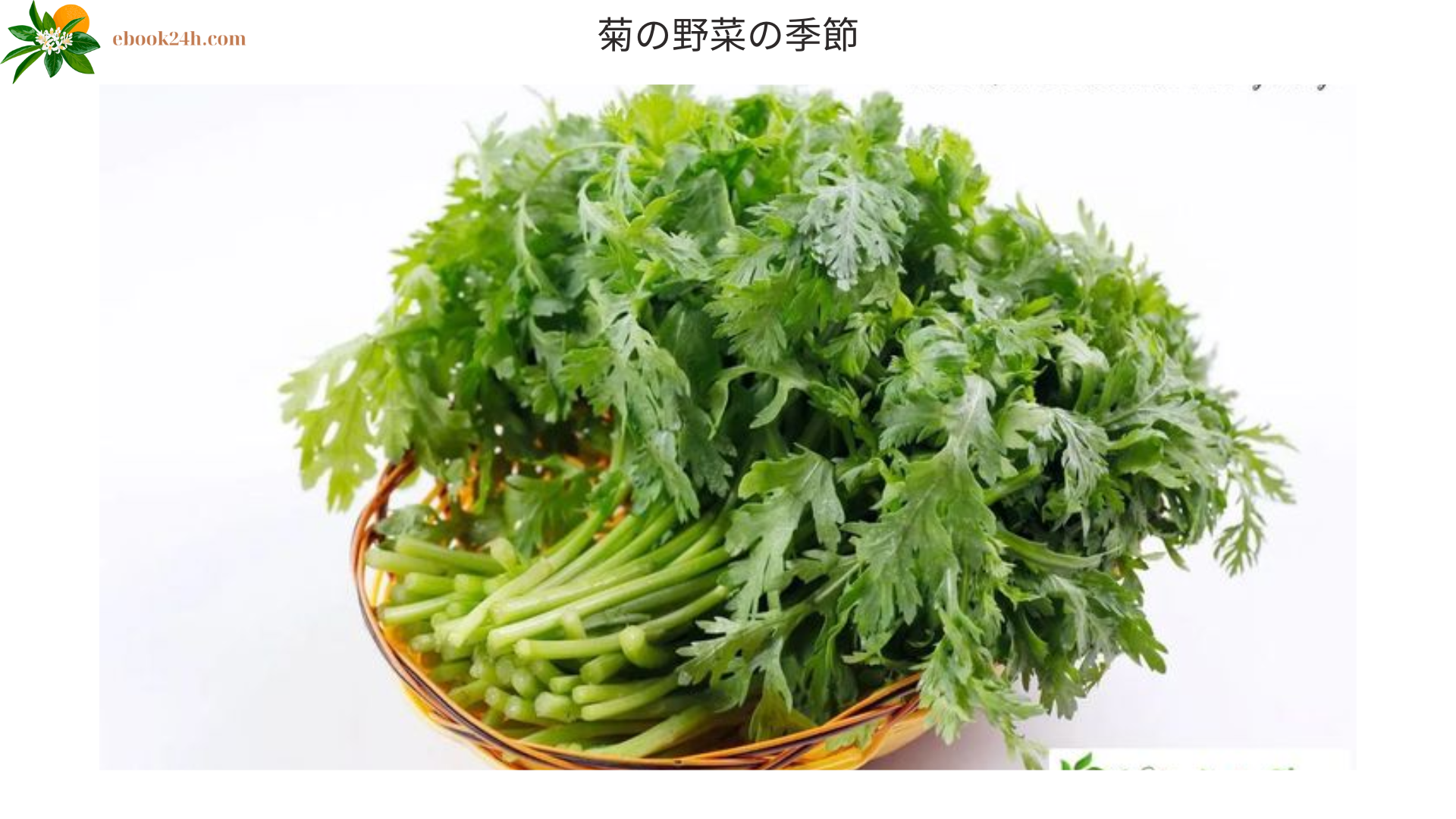 菊の野菜の季節