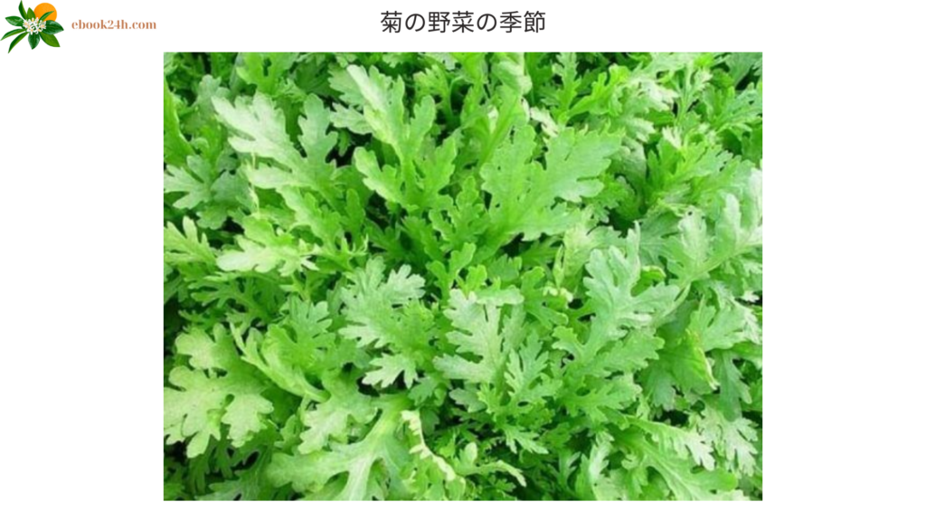 菊の野菜の季節