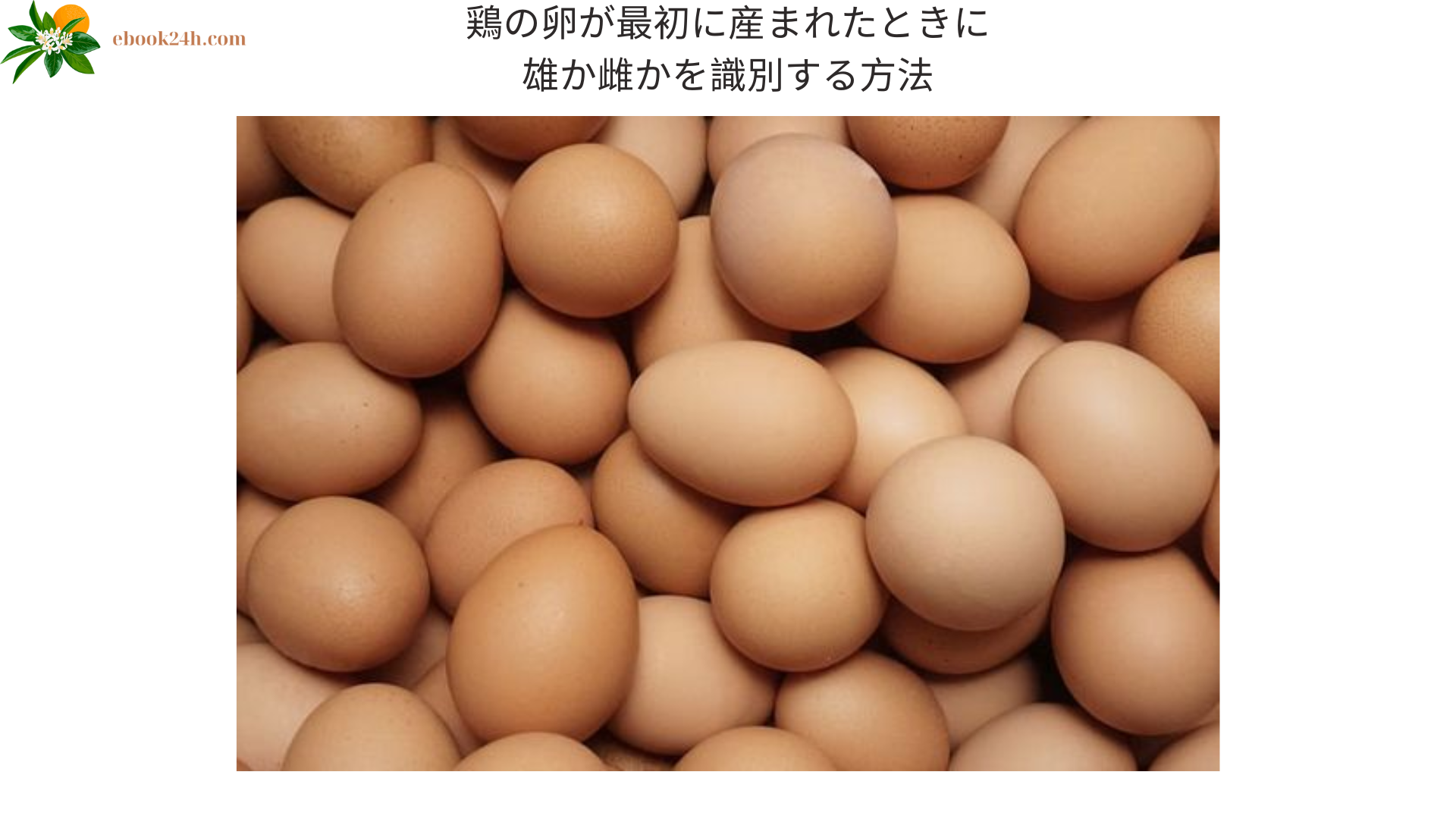 鶏の卵が最初に産まれたときに雄か雌かを識別する方法